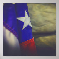 Texas Flag Rustic Lone Star State USA