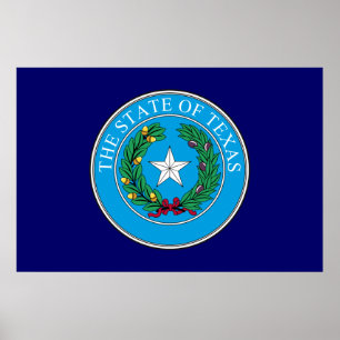 Texas Great Seal Poster