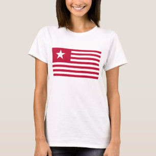 Texas Lone Star and Stripes - Red T-Shirt