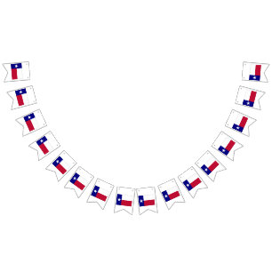 Texas Lone Star Flag