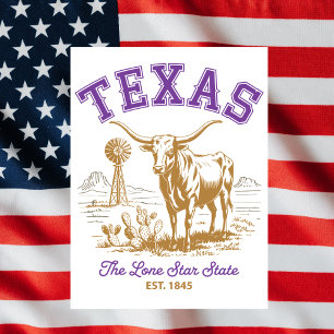 Texas Lone Star State Bull Illustration Travel Postcard