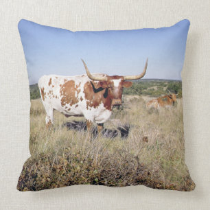 Texas Longhorn Breed (photo) Cushion