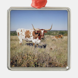Texas Longhorn Breed (photo) Metal Tree Decoration