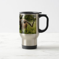 Texas Longhorn Bull