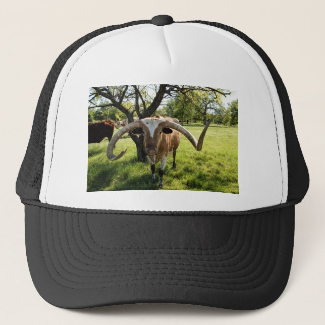Texas Longhorn Bull Trucker Hat (Front)