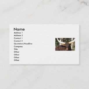 TEXAS LONGHORN business cards