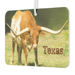 Texas Longhorn Car Air Freshener