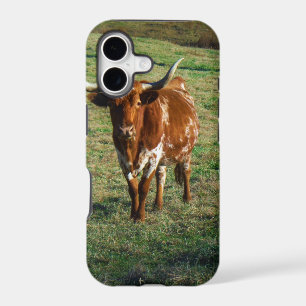 Texas Longhorn Cattle Cow Photo Rustic