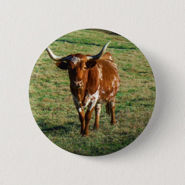 Texas Longhorn Cattle Cow  Photo Rustic 6 Cm Round Badge (Front)