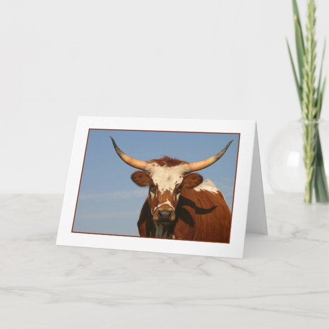 Texas Longhorn Cow Card (Front)