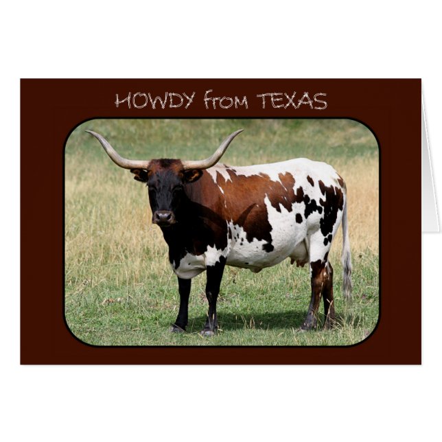 Texas Longhorn Cow Howdy from Texas (Front Horizontal)