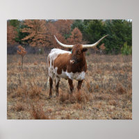 Texas Longhorn Cow in Fall Meadow Farm Style Art