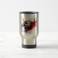 Texas longhorn cow