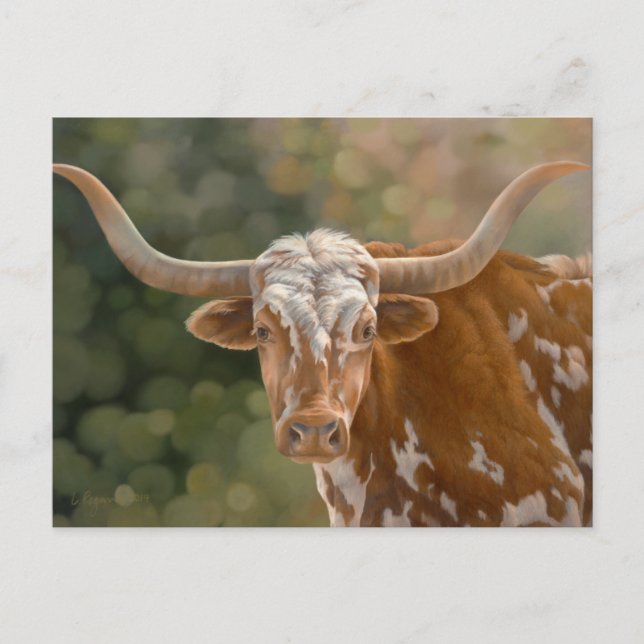 Texas Longhorn Postcard (Front)