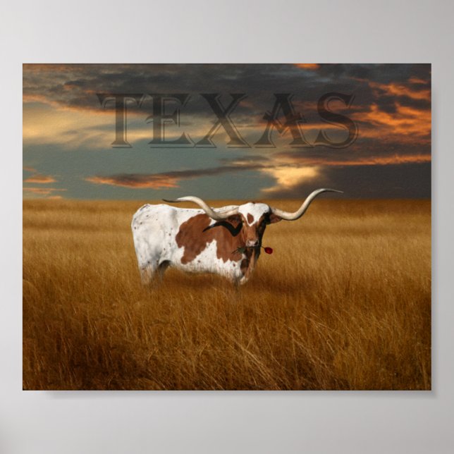 Texas Longhorn Poster (Front)