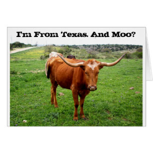 Texas Longhorn With Funny Texas Saying