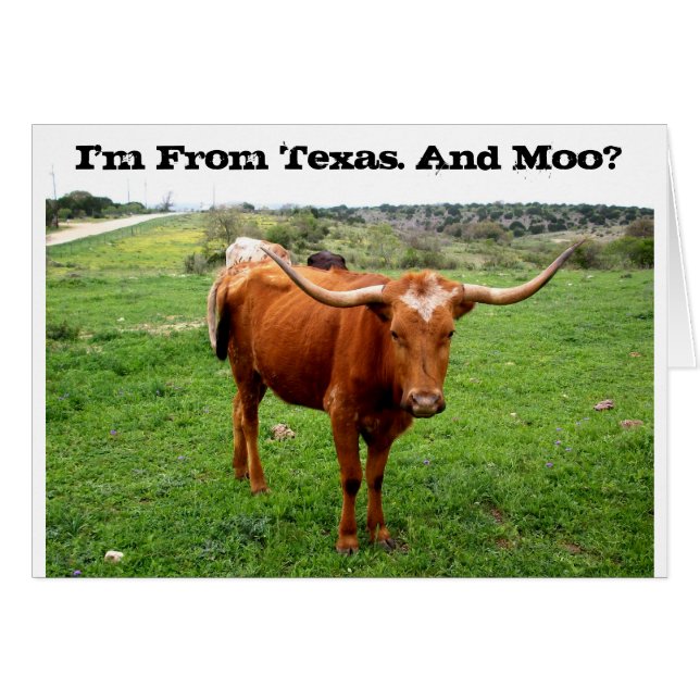 Texas Longhorn With Funny Texas Saying (Front Horizontal)