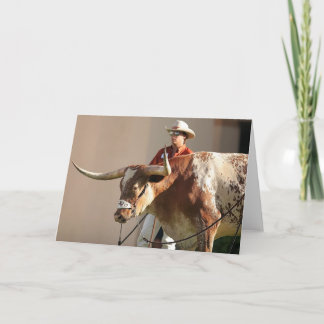 Texas Longhorns Post Card