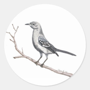 Texas Mockingbird Sticker