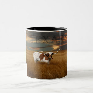 Texas Mug