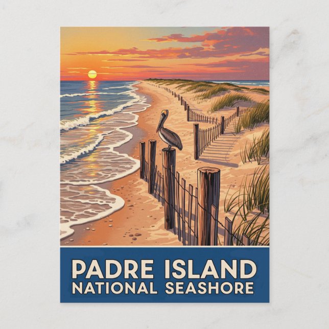 Texas Padre Island National Seashore Postcard (Front)