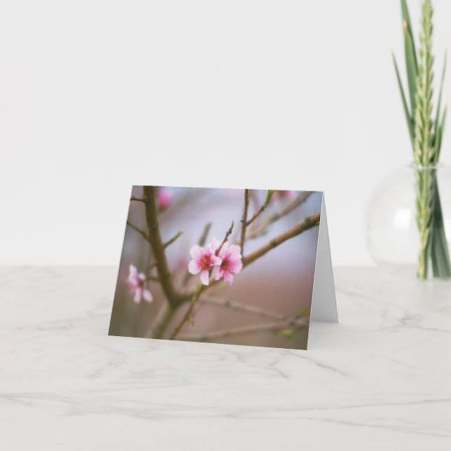 Texas Peach Blossoms Card (Front)