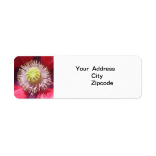 Texas Pink Skullcap Address Label