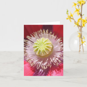 Texas Pink Skullcap Inspirational Note Card