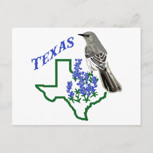 Texas Postcard