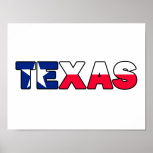 Texas Poster