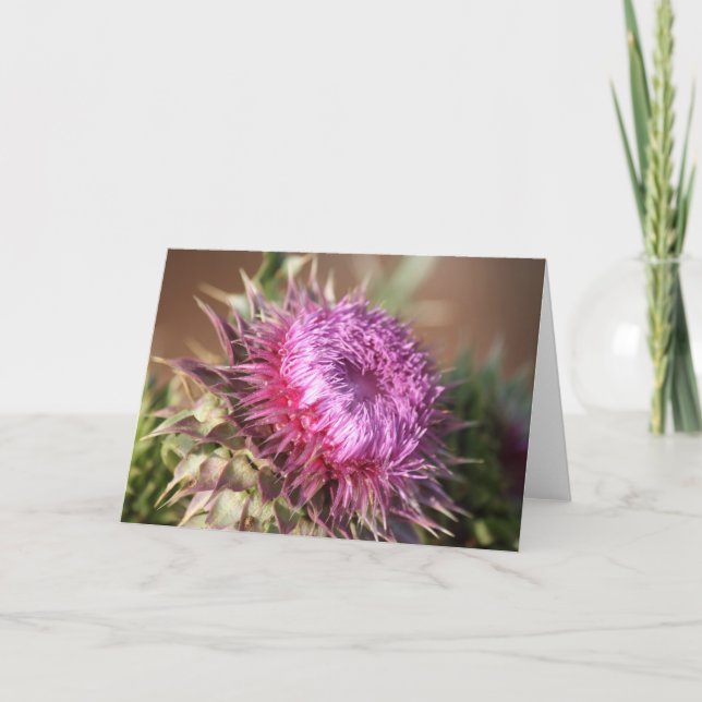 Texas Purple Thistle Greeting Card (Front)