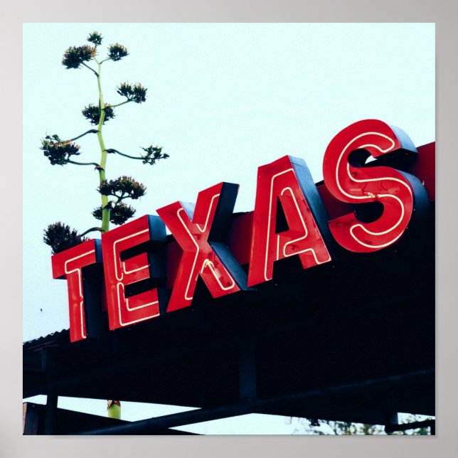 Texas Red Neon Lights USA America Poster (Front)