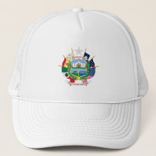 Texas sign trucker hat