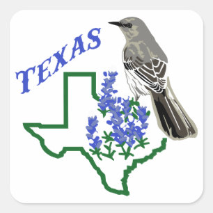 Texas Square Sticker
