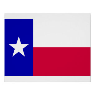 Texas State Flag Poster