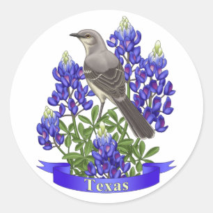 Texas State Mockingbird & Bluebonnet Flower Classic Round Sticker