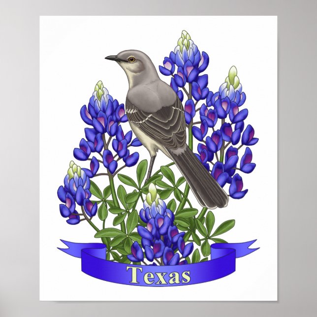 Texas State Mockingbird & Bluebonnet Flower Poster (Front)