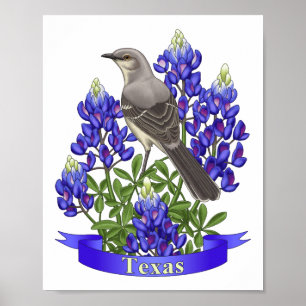 Texas State Mockingbird & Bluebonnet Flower Poster