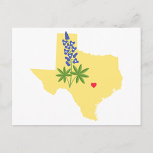 Texas State Postcard