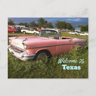 Texas State Postcard