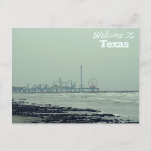Texas State Postcard
