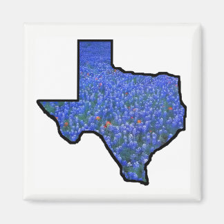 Texas State Shape Flag and Bluebonnets Magnet