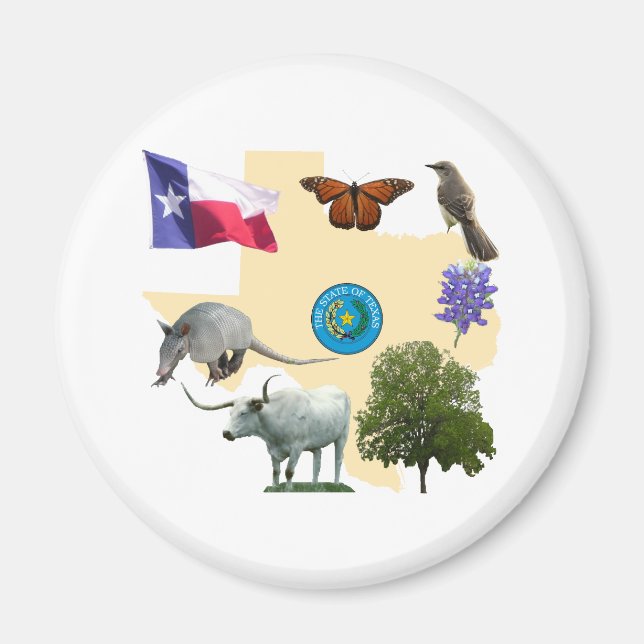 Texas State Symbols Magnet (Front)