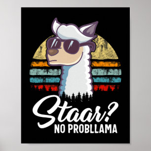 Texas State Test Day Llama Alpaca For Students Gif Poster