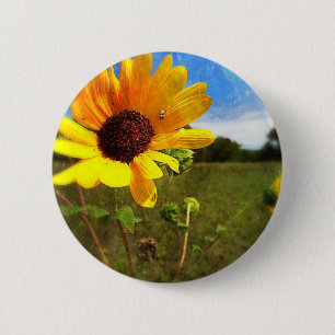Texas Sunflowers by Jill 6 Cm Round Badge