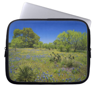 Texas, Texas Hill Country, Low bladderpod, Laptop Sleeve