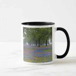 Texas, Texas Hill Country, Texas Paintbrush and Mug