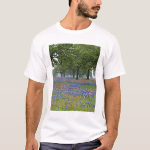 Texas, Texas Hill Country, Texas Paintbrush and T-Shirt