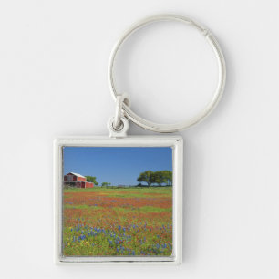 Texas, Texas Hill Country, Texas paintbrush Key Ring