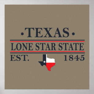 texas the lone star state contour poster